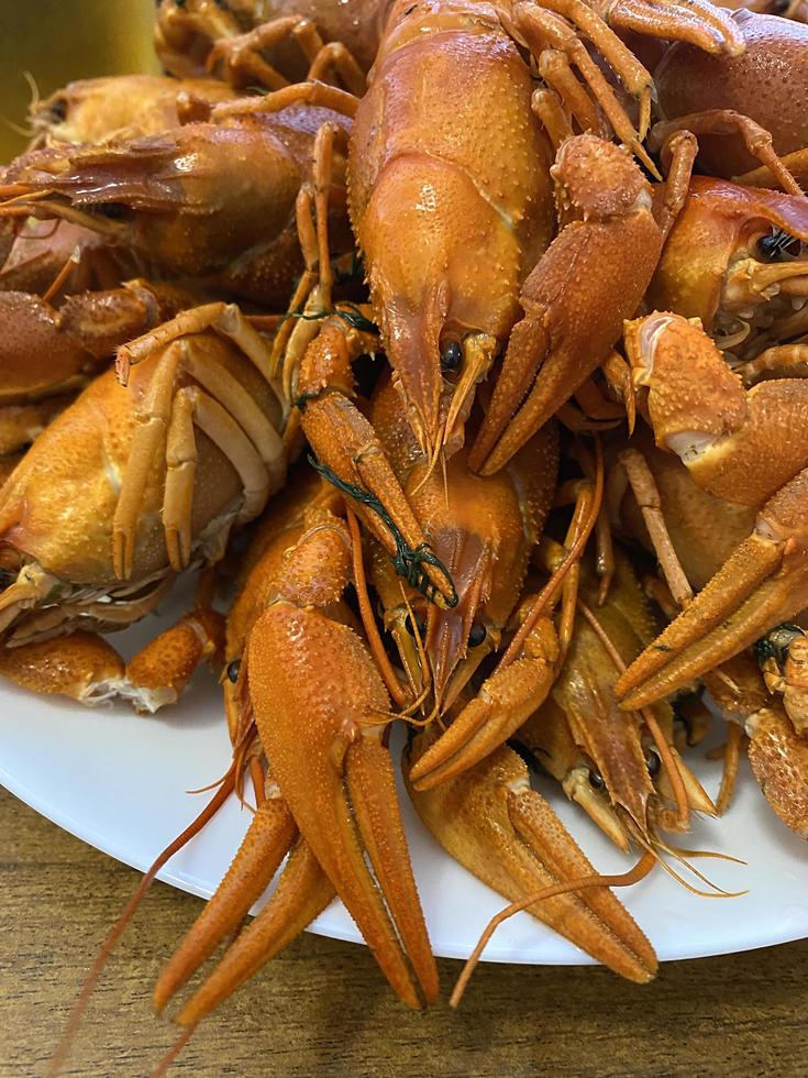 Boiled crayfish close-up on a white plate photo