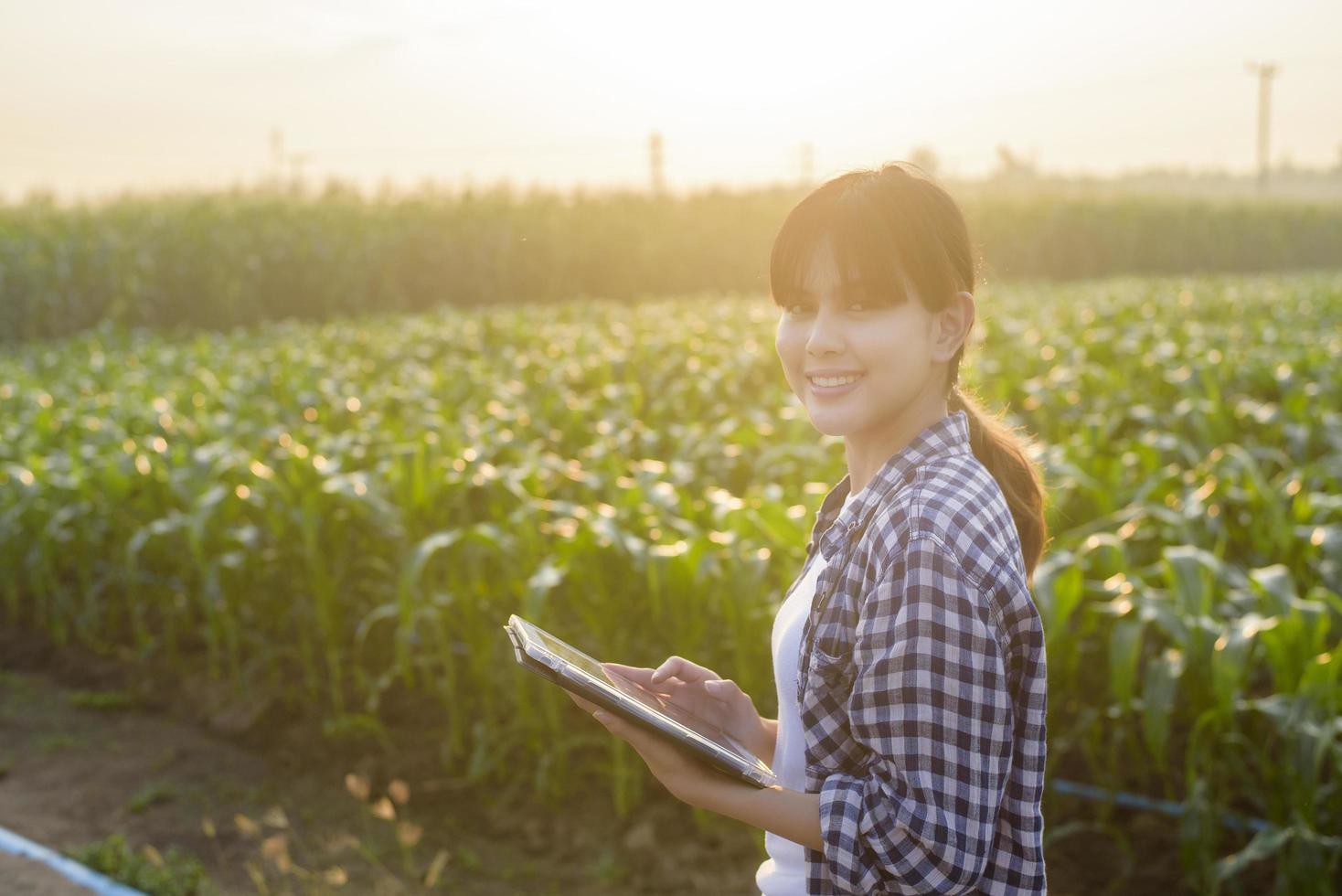joven agricultora inteligente con tableta en el campo, innovaciones de alta tecnología y agricultura inteligente foto