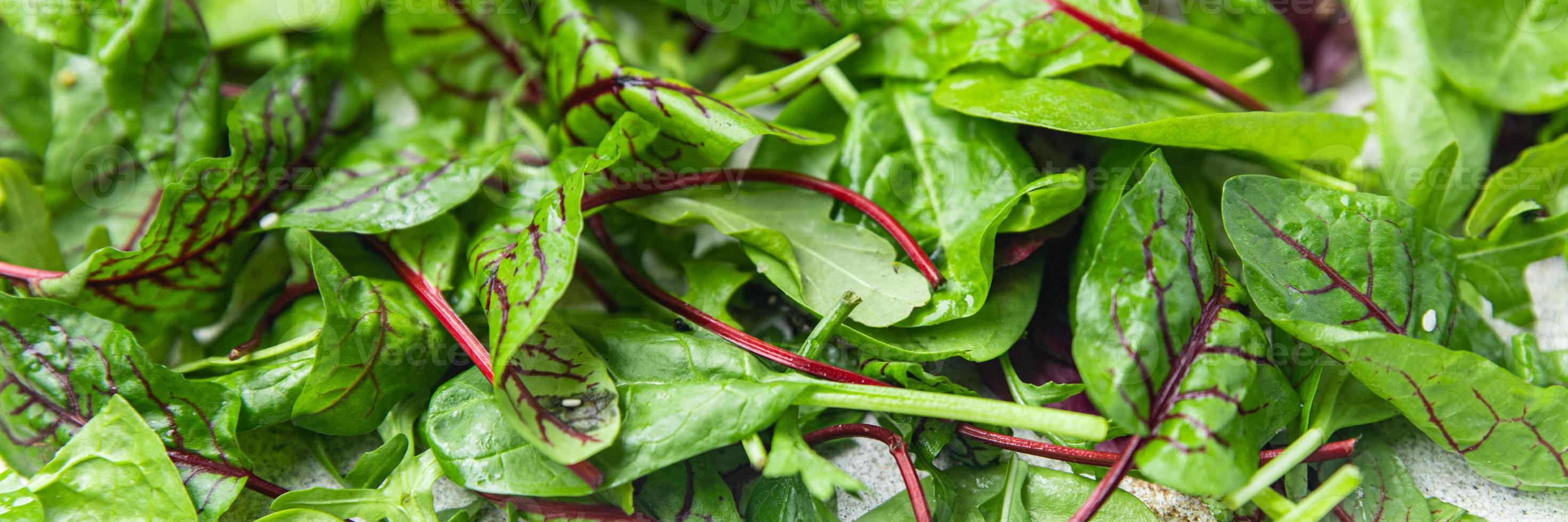 green salad leaves mix microgreen juicy snack ready eat on the table photo
