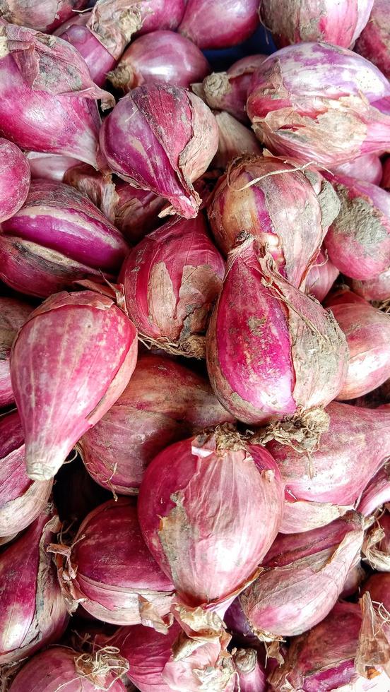 Red onion spices photo