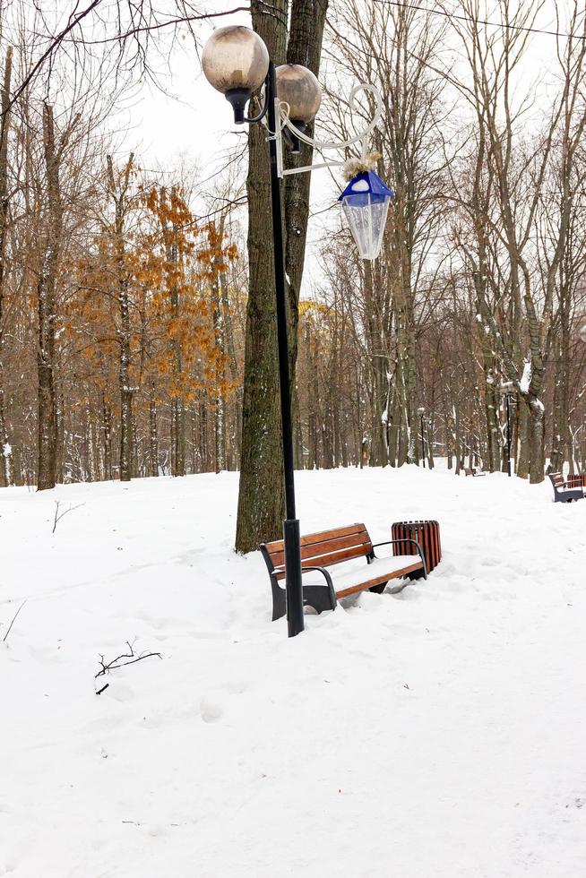 paisaje en invierno en el parque foto