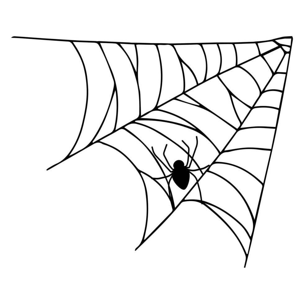 Spider web isolated on white background. Spooky cobwebs with spiders. vector