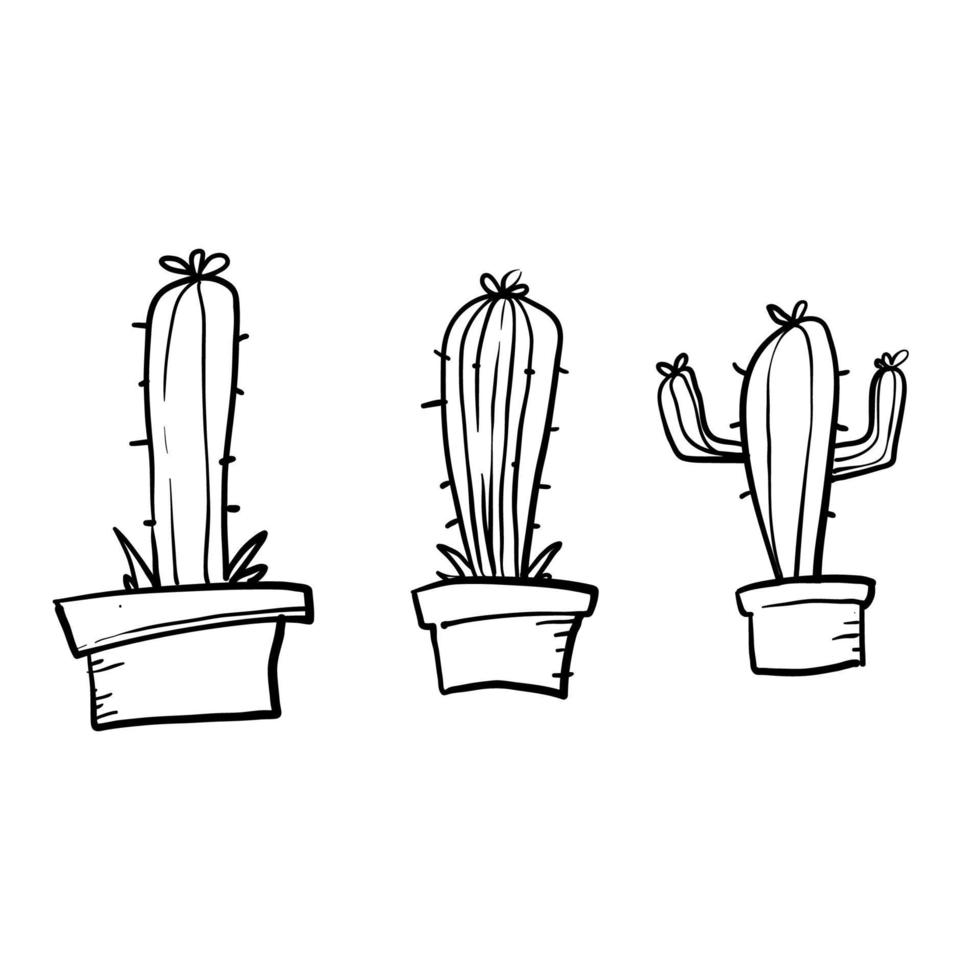 hand drawn doodle cactus illustration vector cartoon style