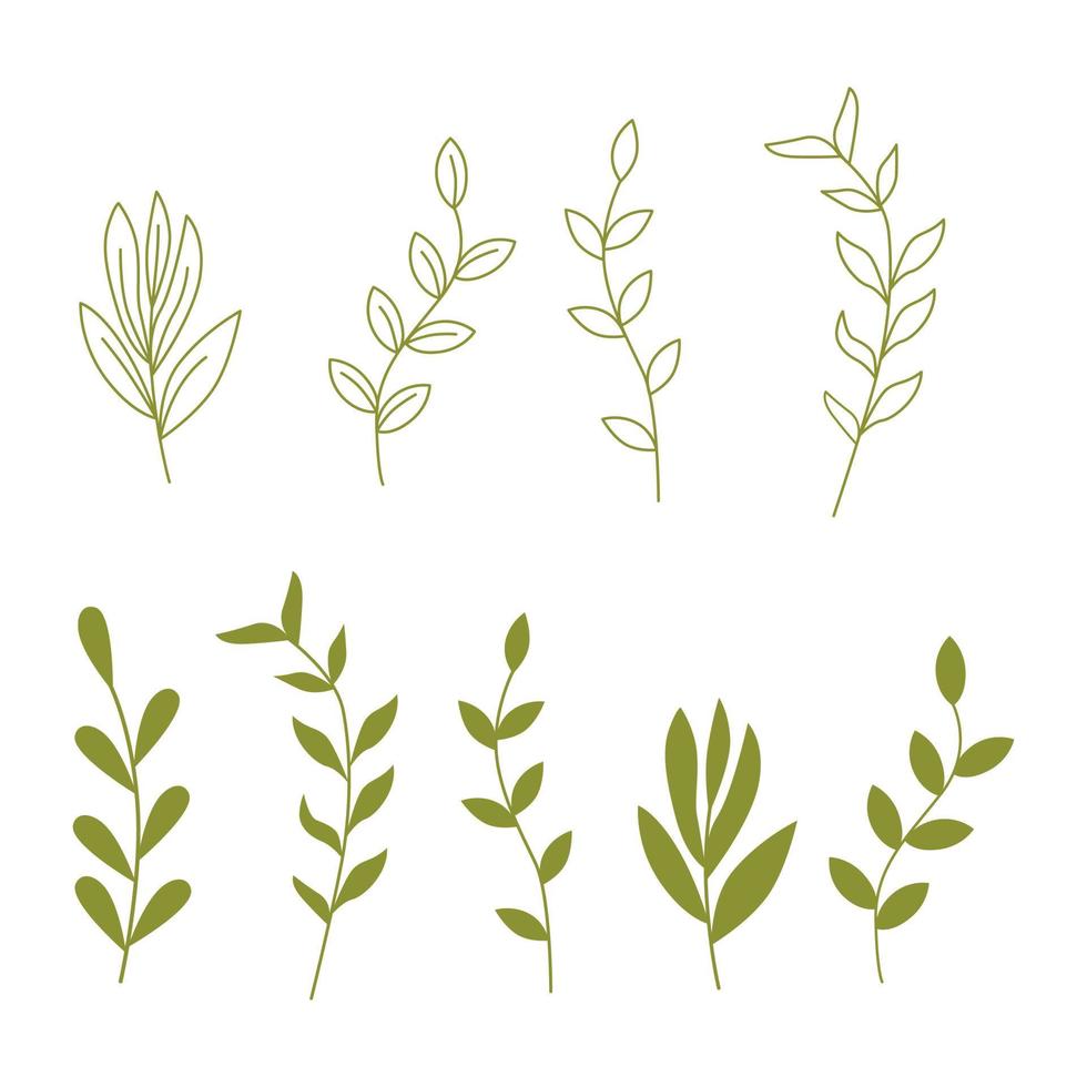Set of abstract linear twigs with leaves Vector illustration for design, decor, postcards, invitations, packaging.