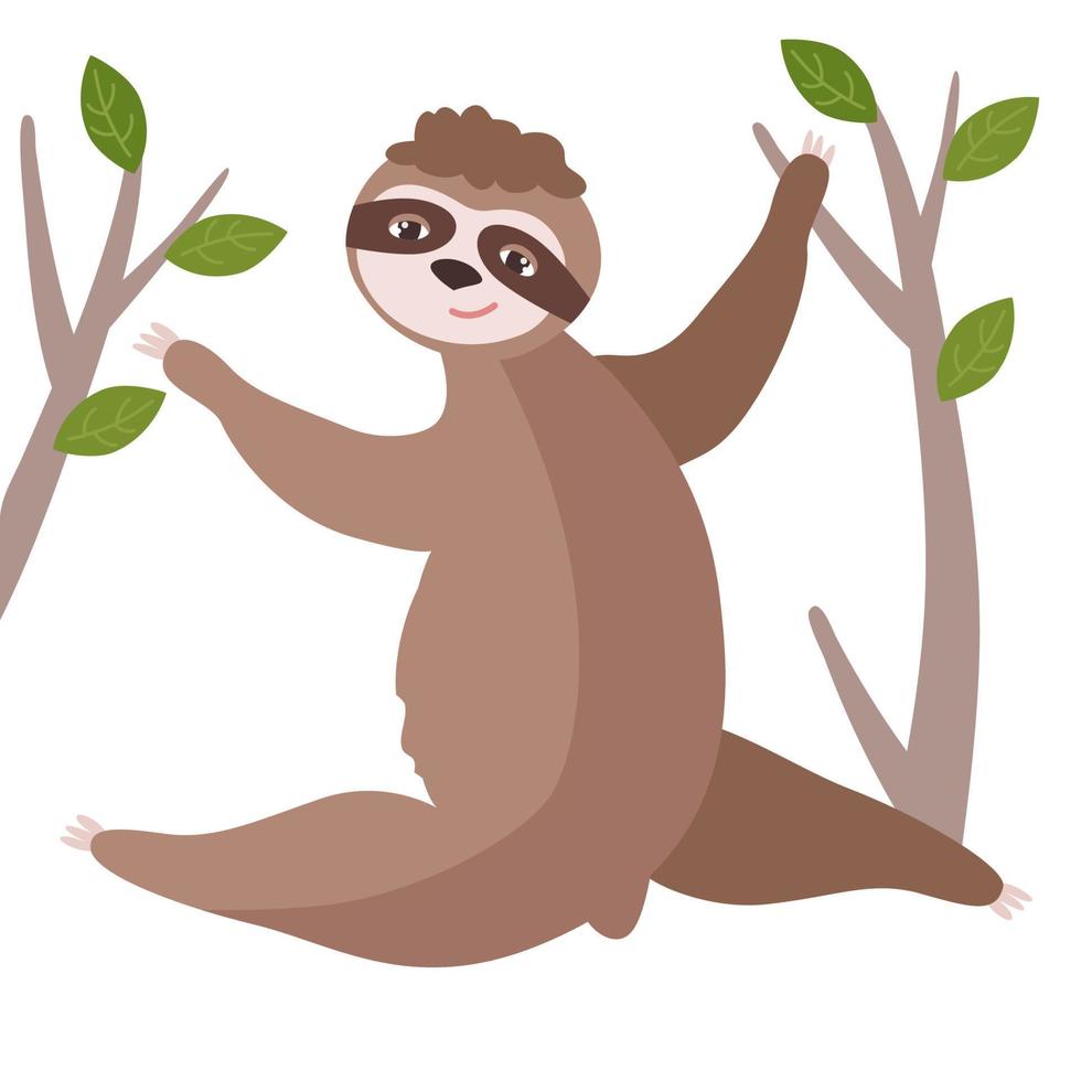 Cute sloth climbs trees. Isolated illustration on a white background. For the nursery, prints on fabric, on paper. vector