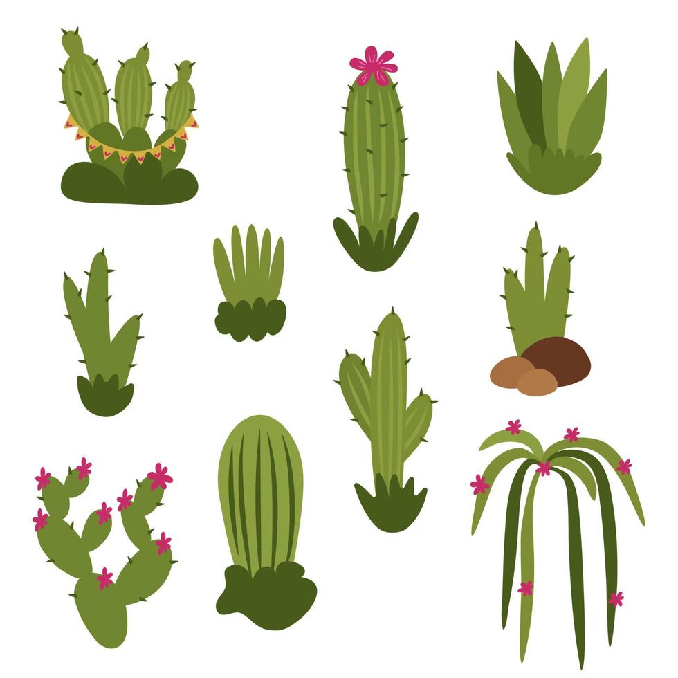 Cacti, a cute set of different types. Vector illustration isolated on a white background.