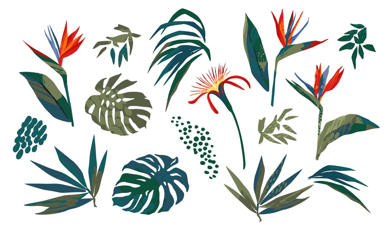 ilustraciones vectoriales de hojas tropicales. imágenes prediseñadas, elementos aislados. vector