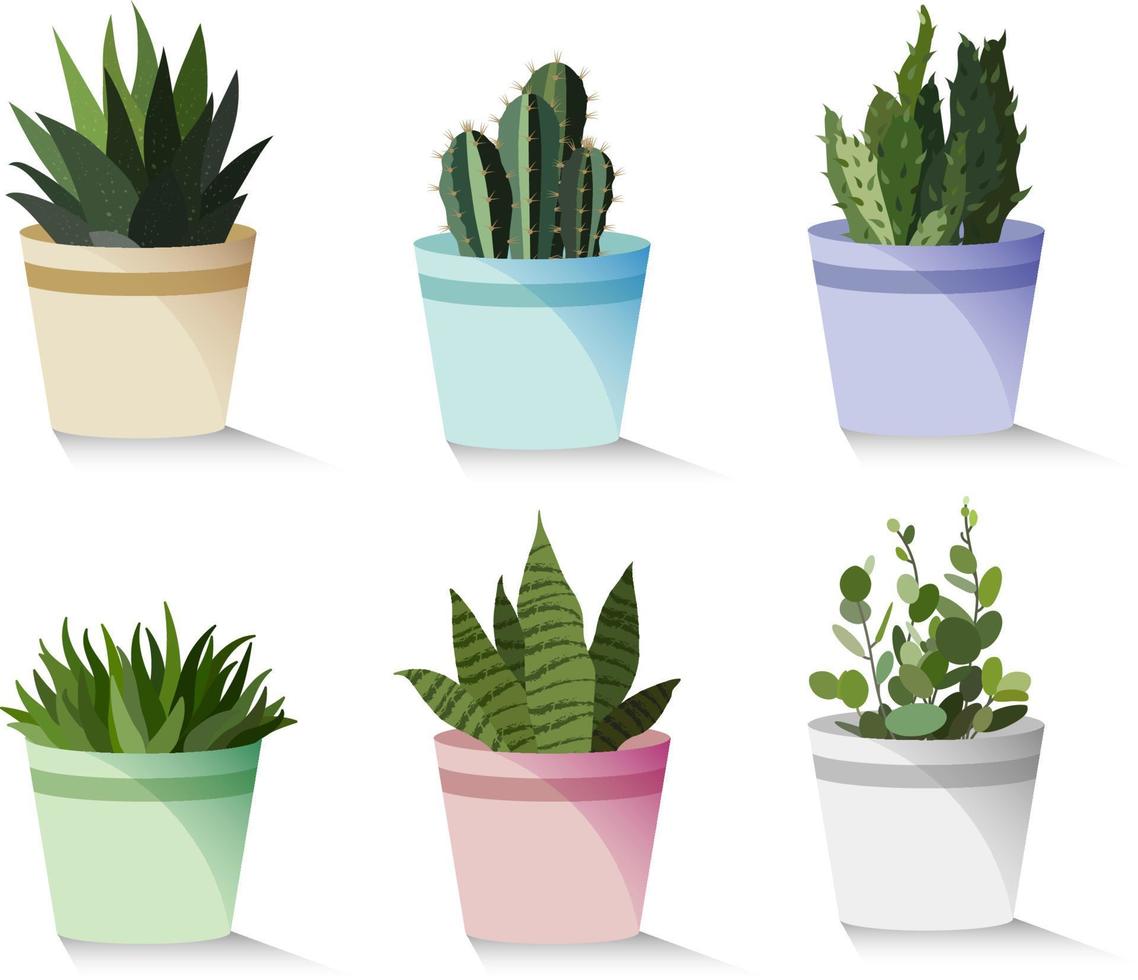 Green Decorative Houseplants Set vector