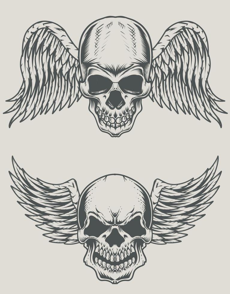 set illustration skull head with wings vector