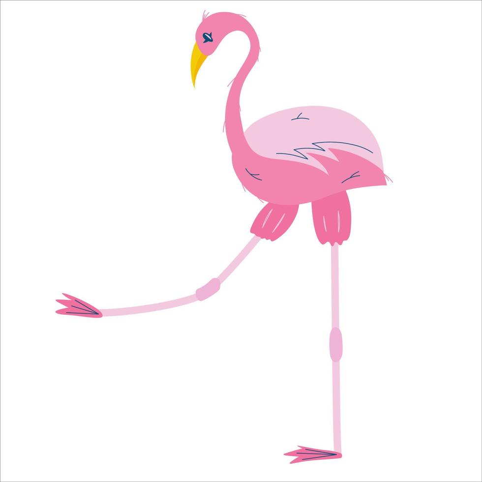 flamenco rosa aislado sobre fondo blanco. un pájaro tropical con plumas y un pico se para en una pierna larga. ilustración vectorial plana. vector