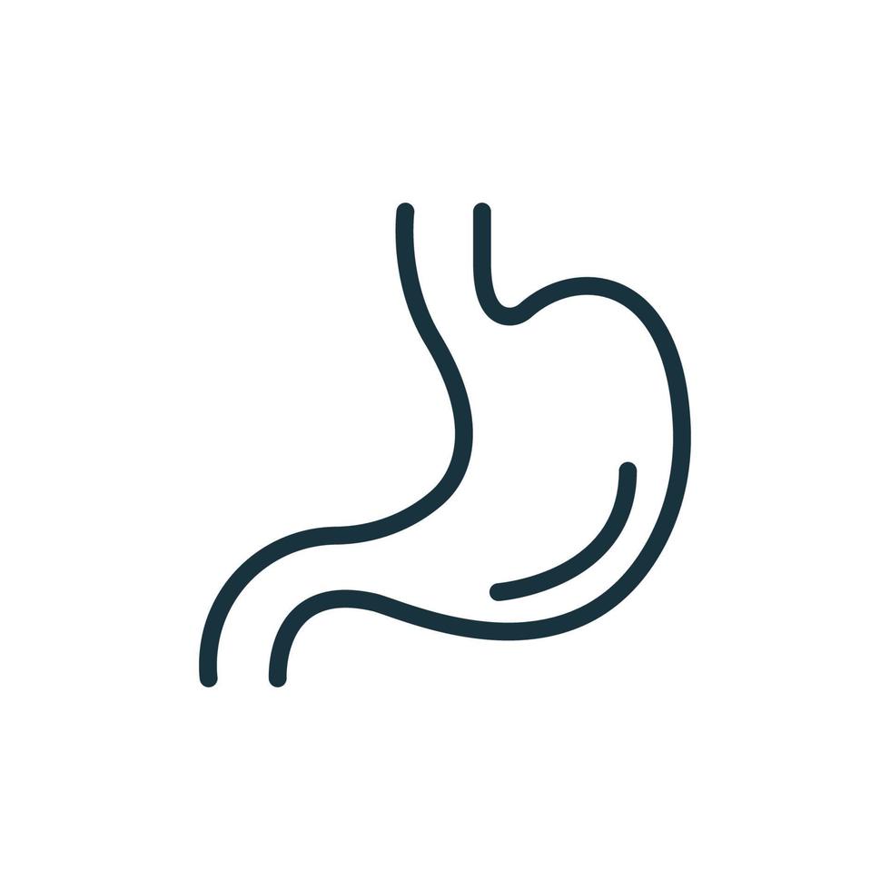 Stomach Line Icon. Human Alimentary Internal Organ Linear Pictogram. Healthy Stomach Outline Icon. Isolated Vector Illustration.