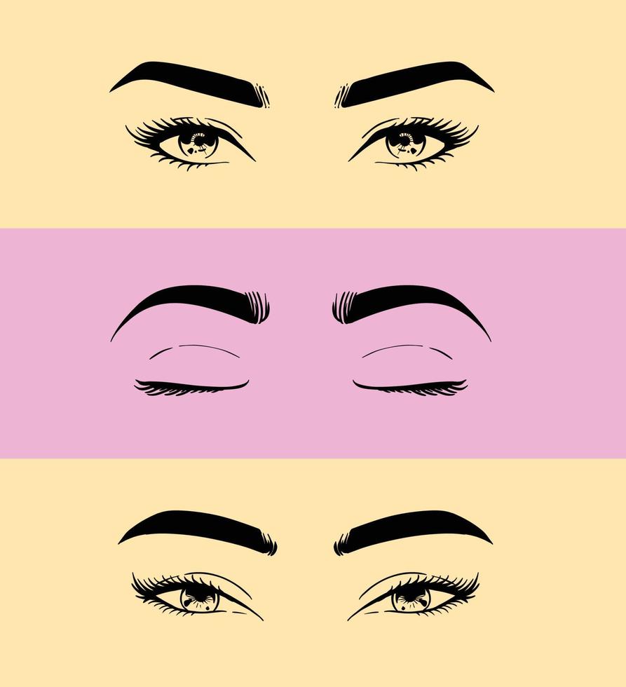 eyelash set illustration vector