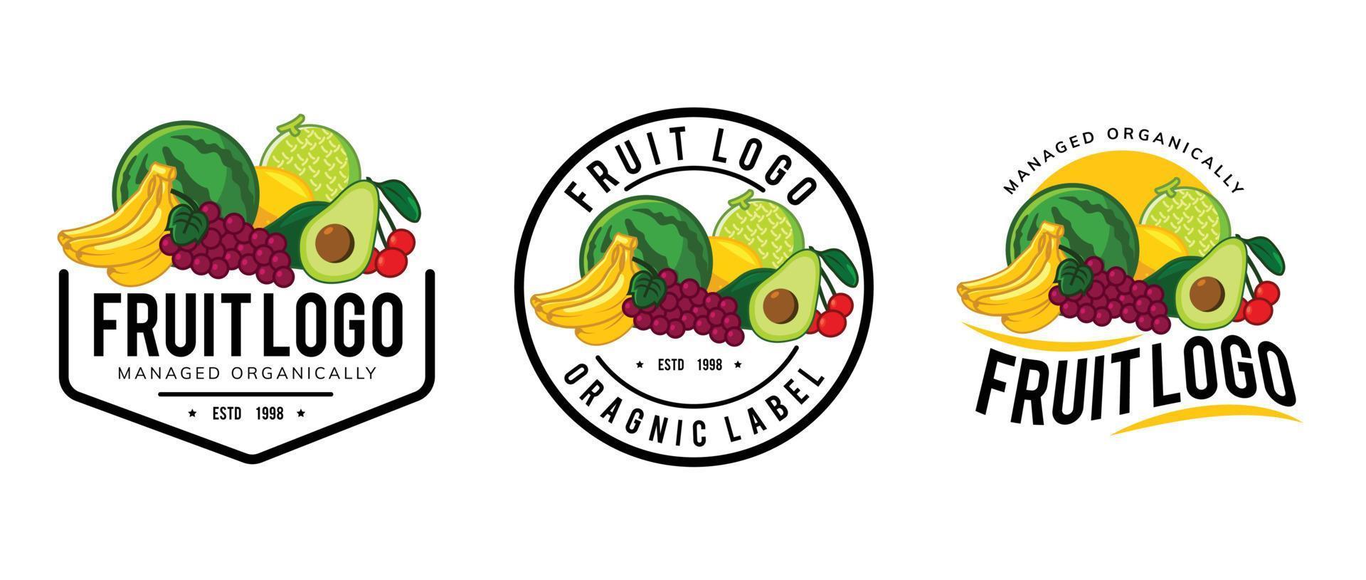 fruit logo template design vector