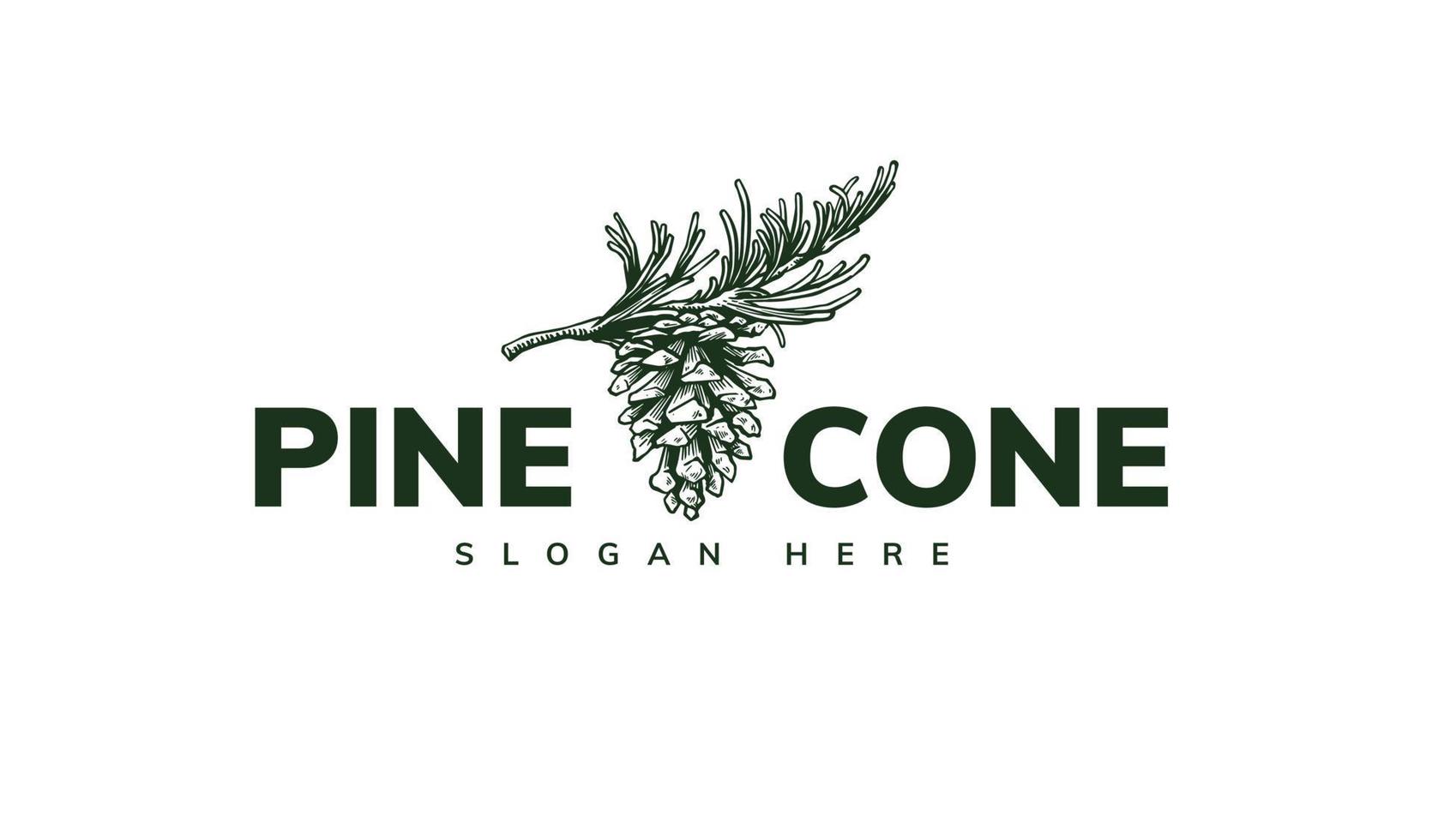 pine cone logo template design vector