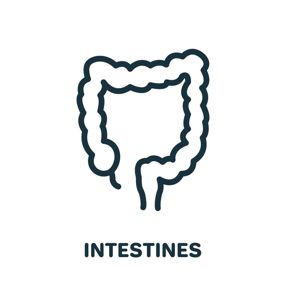 Large Intestine Line Icon. Colon Linear Pictogram. Bowel Concept. Internal Digestive Human Organ Outline Icon. Isolated Vector Illustration.