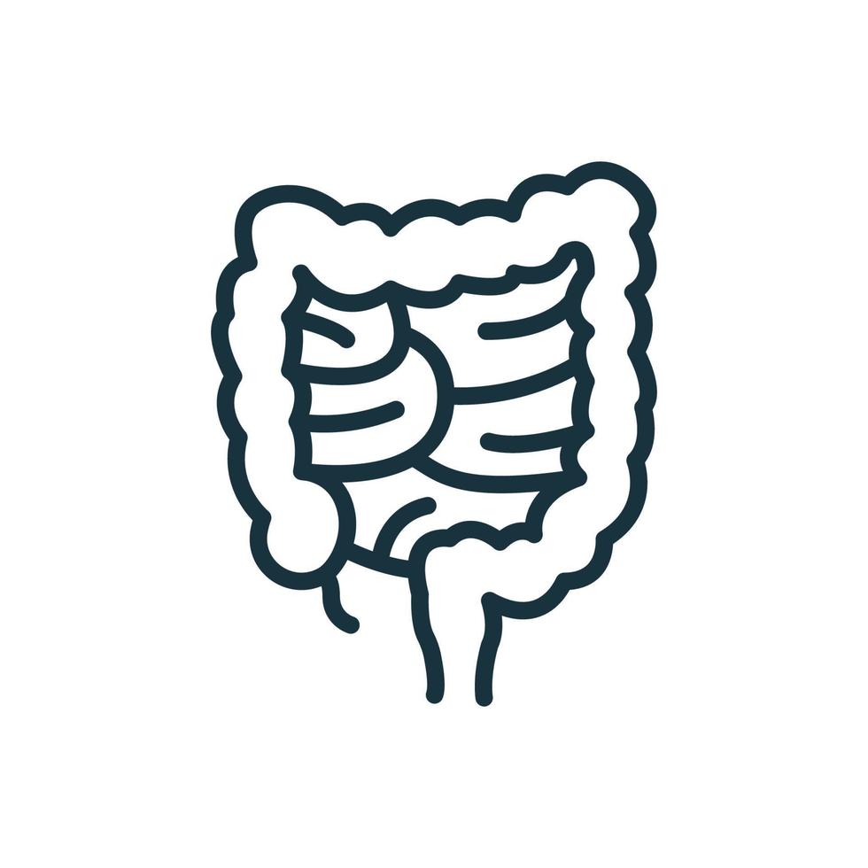 Colon Line Icon. Large Intestine Linear Pictogram. Internal Digestive Human Organ Outline Icon. Bowel Concept. Isolated Vector Illustration.