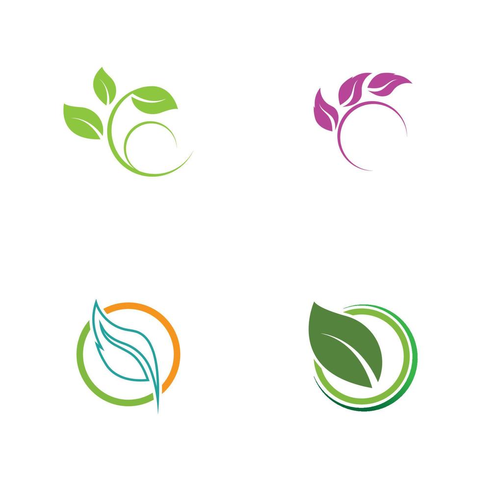 set of leaf logo vector