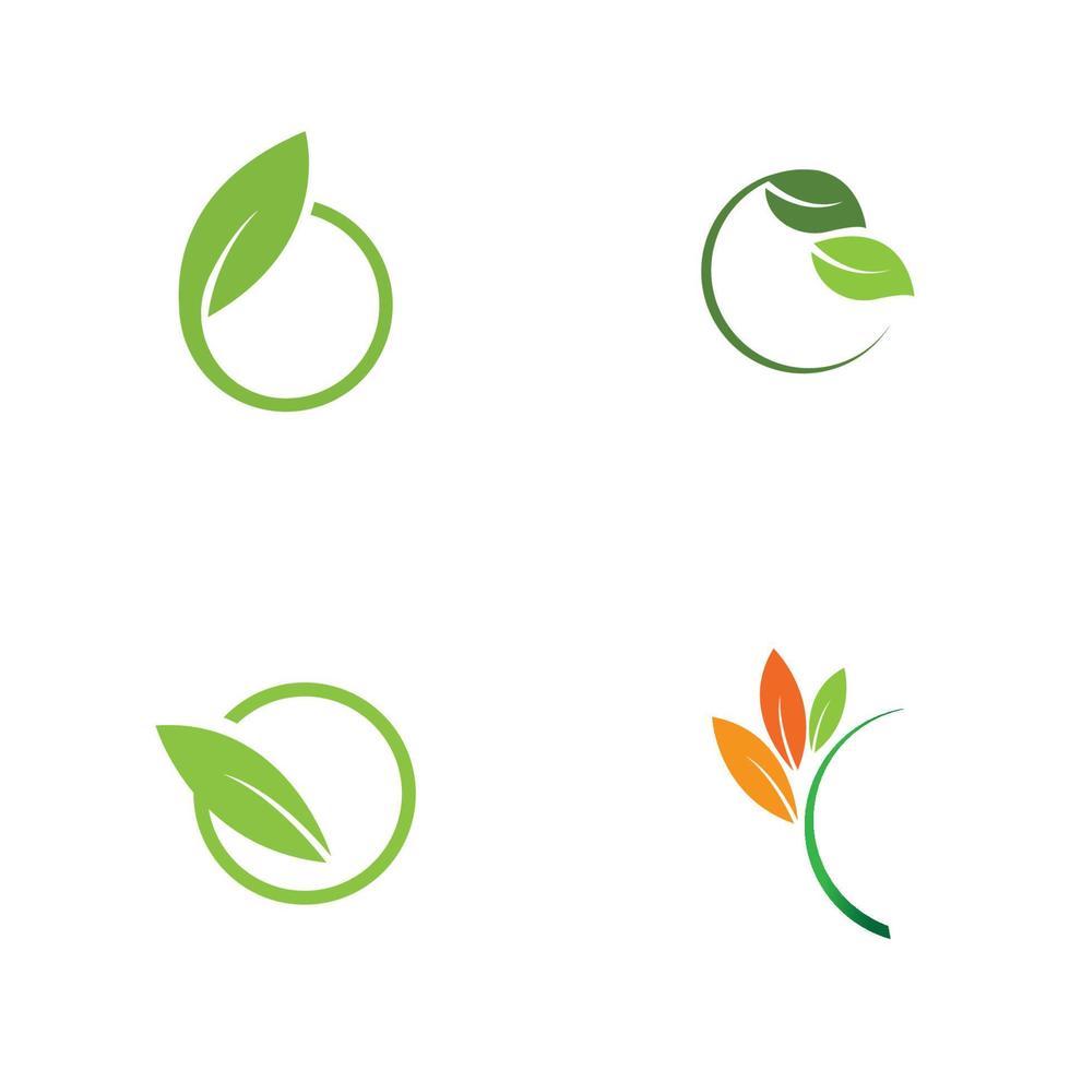 set of leaf logo vector