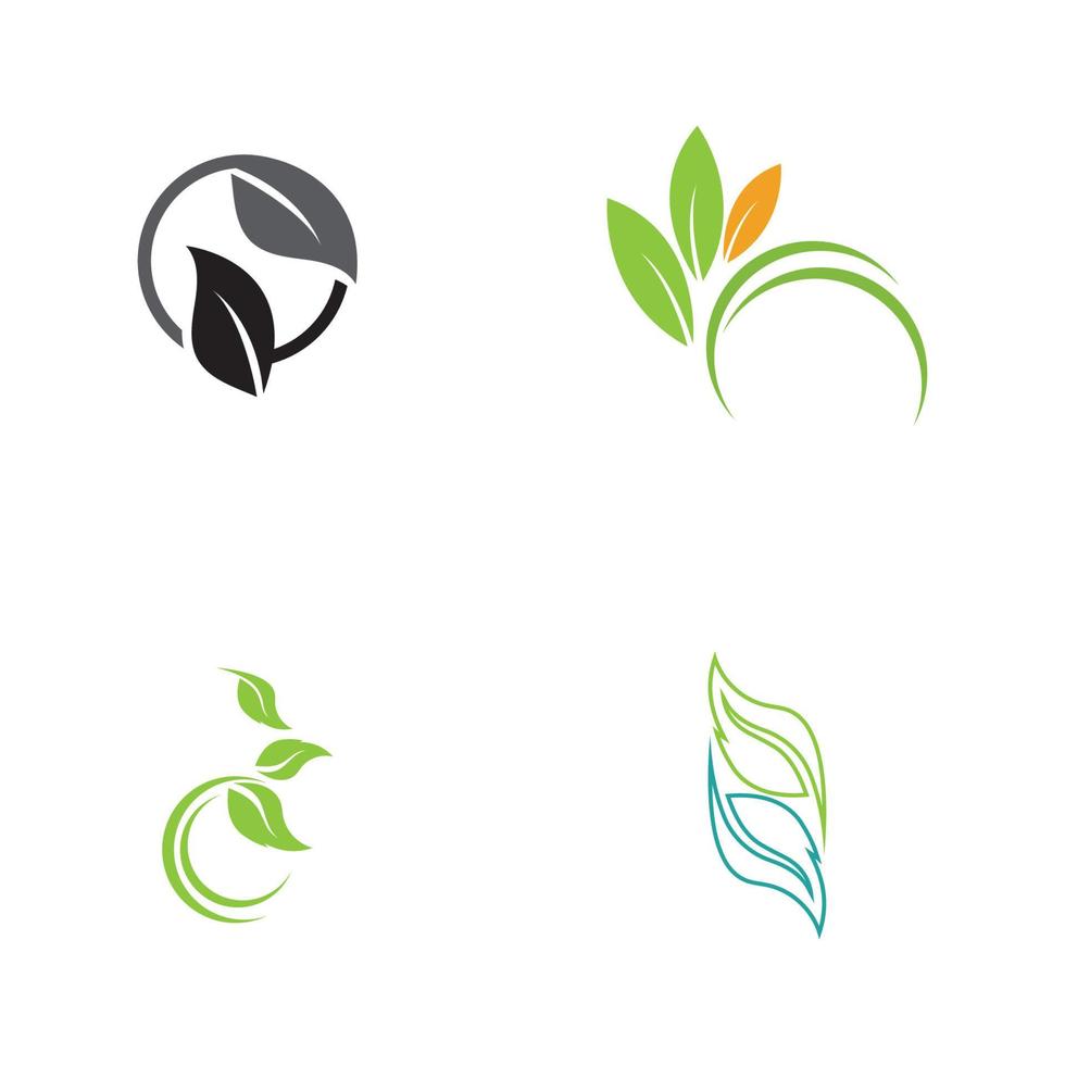 set of leaf logo vector