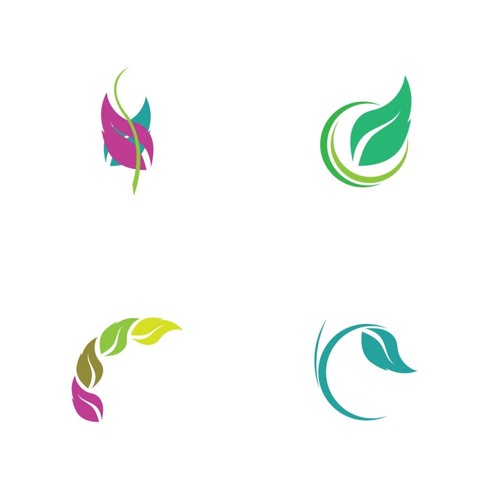 conjunto de logotipo de hoja vector