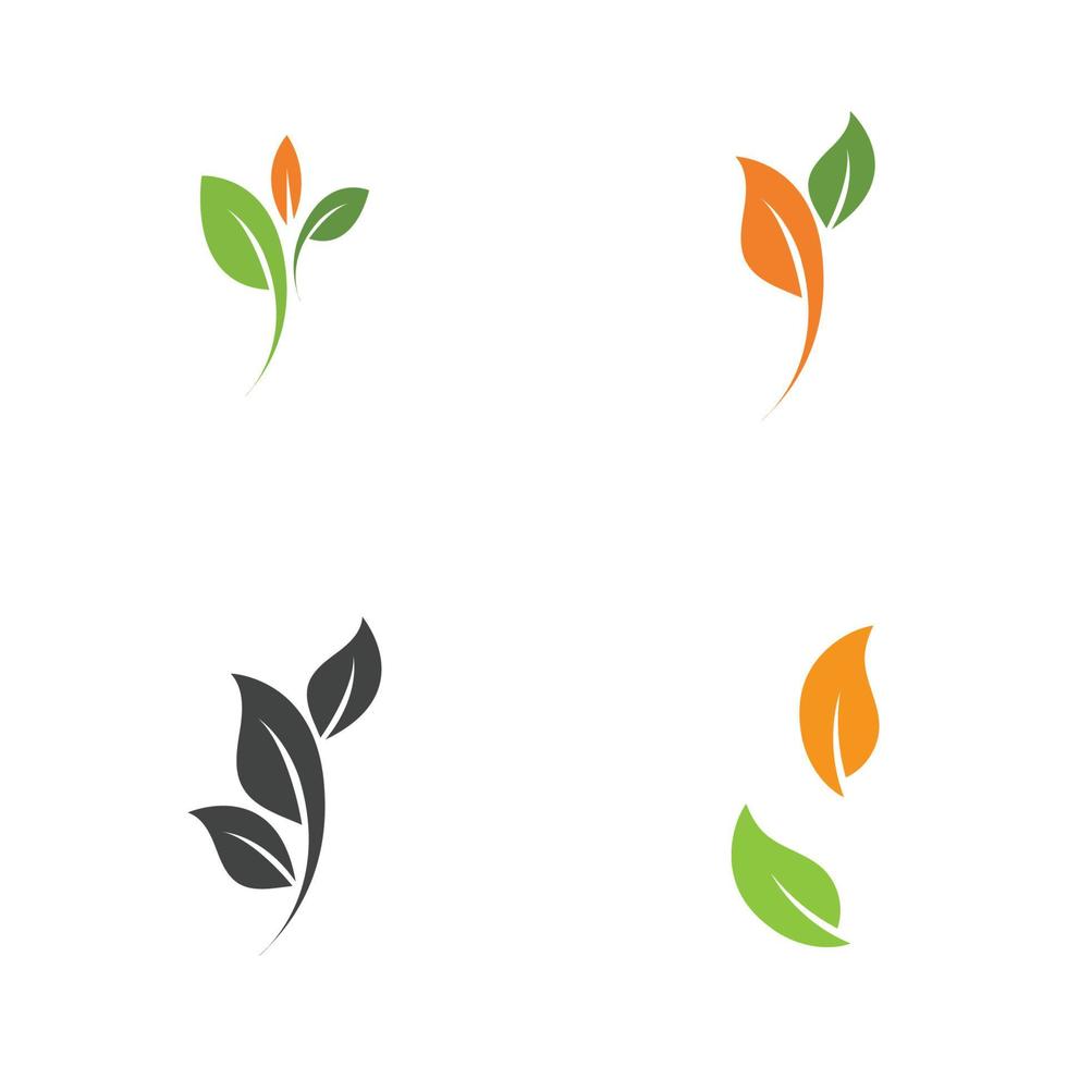 set of leaf logo vector