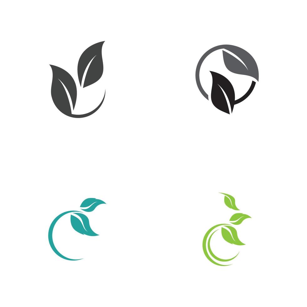 set of leaf logo vector