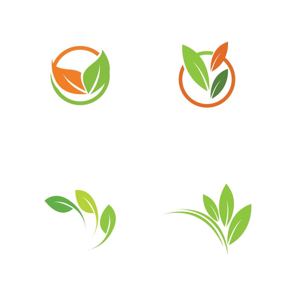 set of leaf logo vector