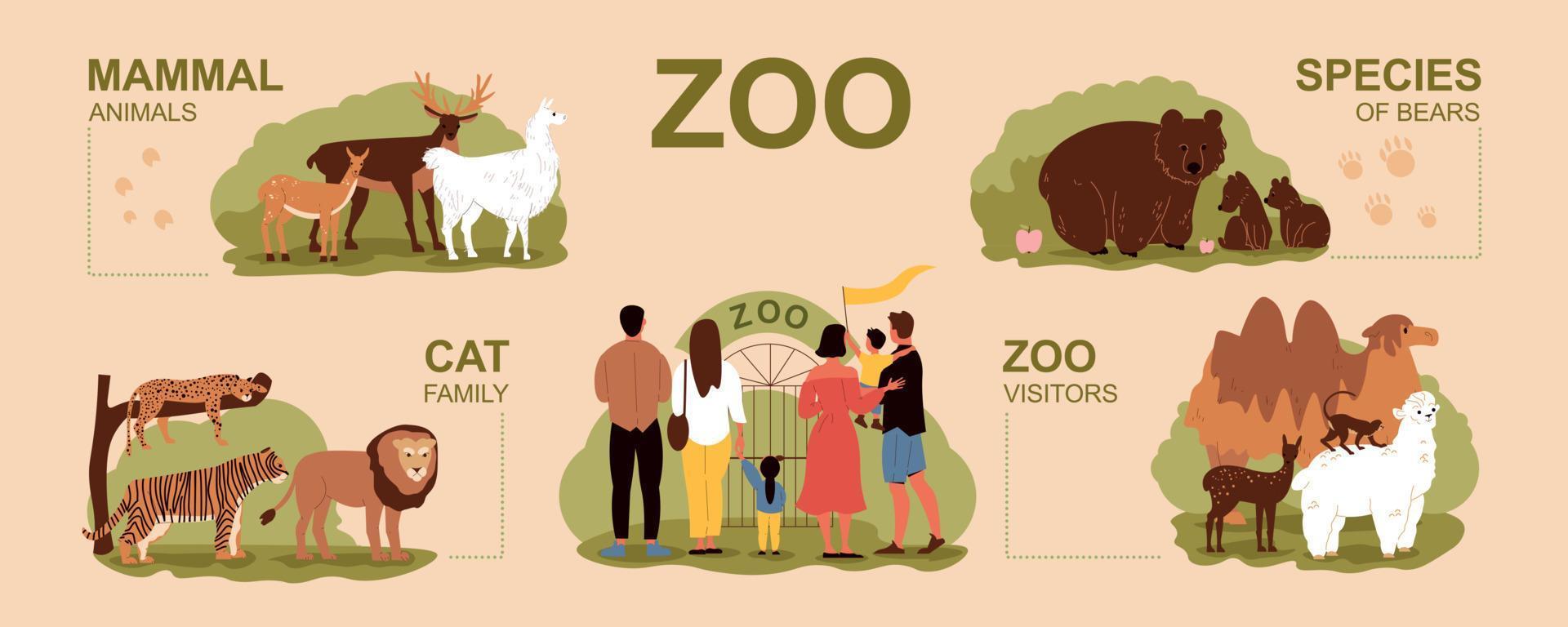 conjunto infográfico del zoológico vector