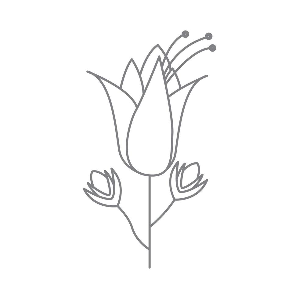 hermoso lirio líneas flor logotipo símbolo vector icono ilustración diseño gráfico