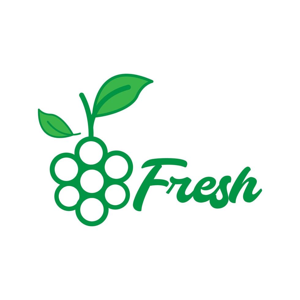 fruta fresca verde uva colorido logotipo diseño vector gráfico símbolo icono ilustración idea creativa