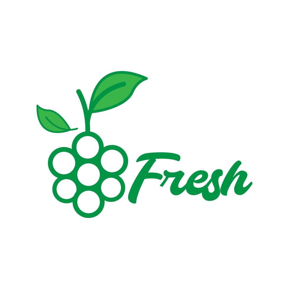 fruit fresh green grape colorful logo design vector graphic symbol icon illustration creative idea