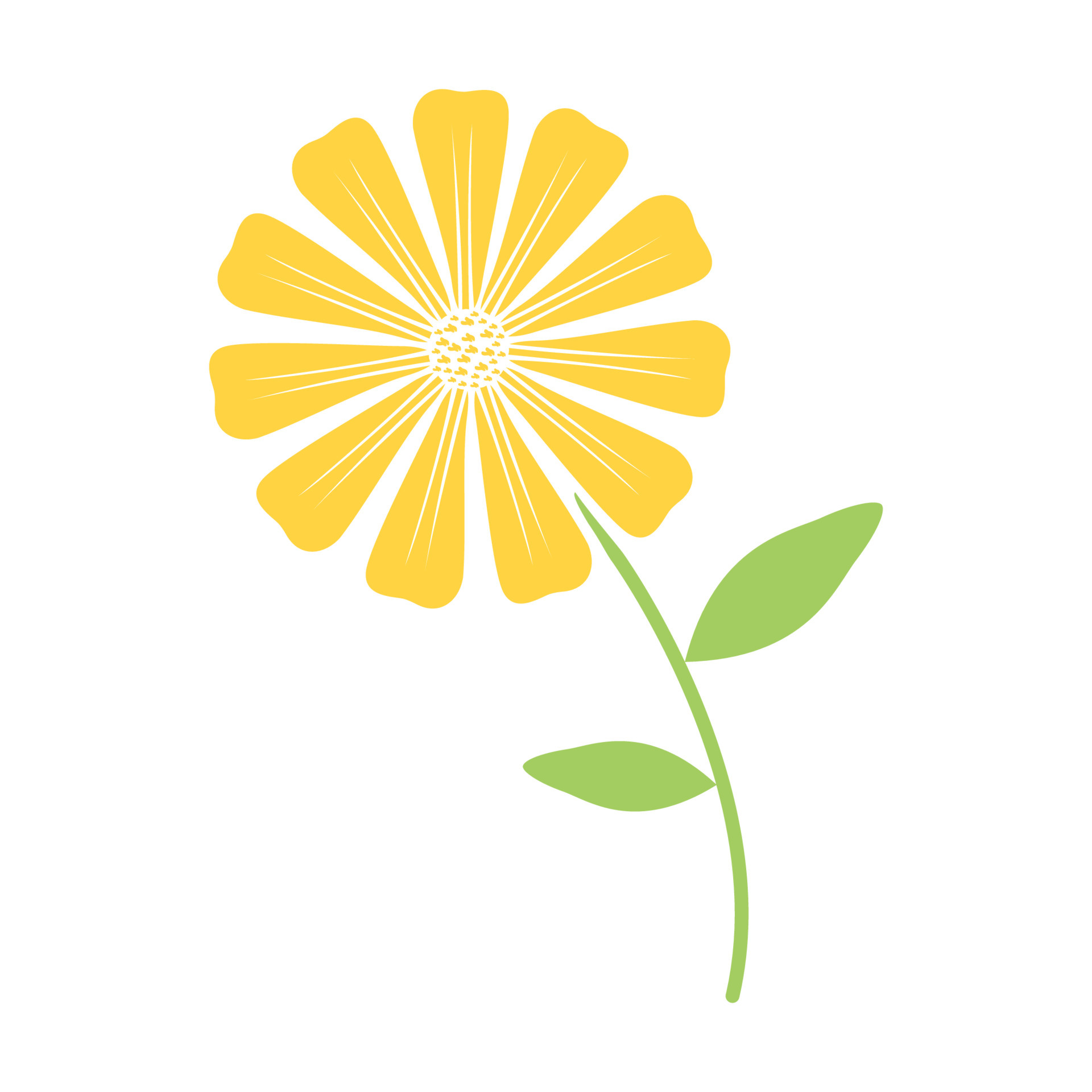 Colorida flor amarilla daisy logo símbolo vector icono ilustración