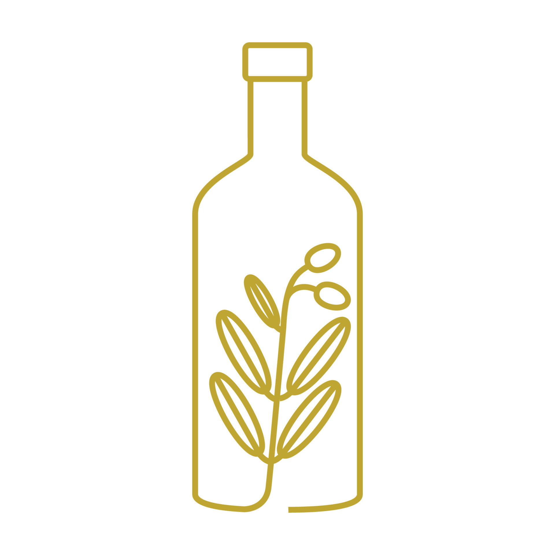 olive oil bottle design