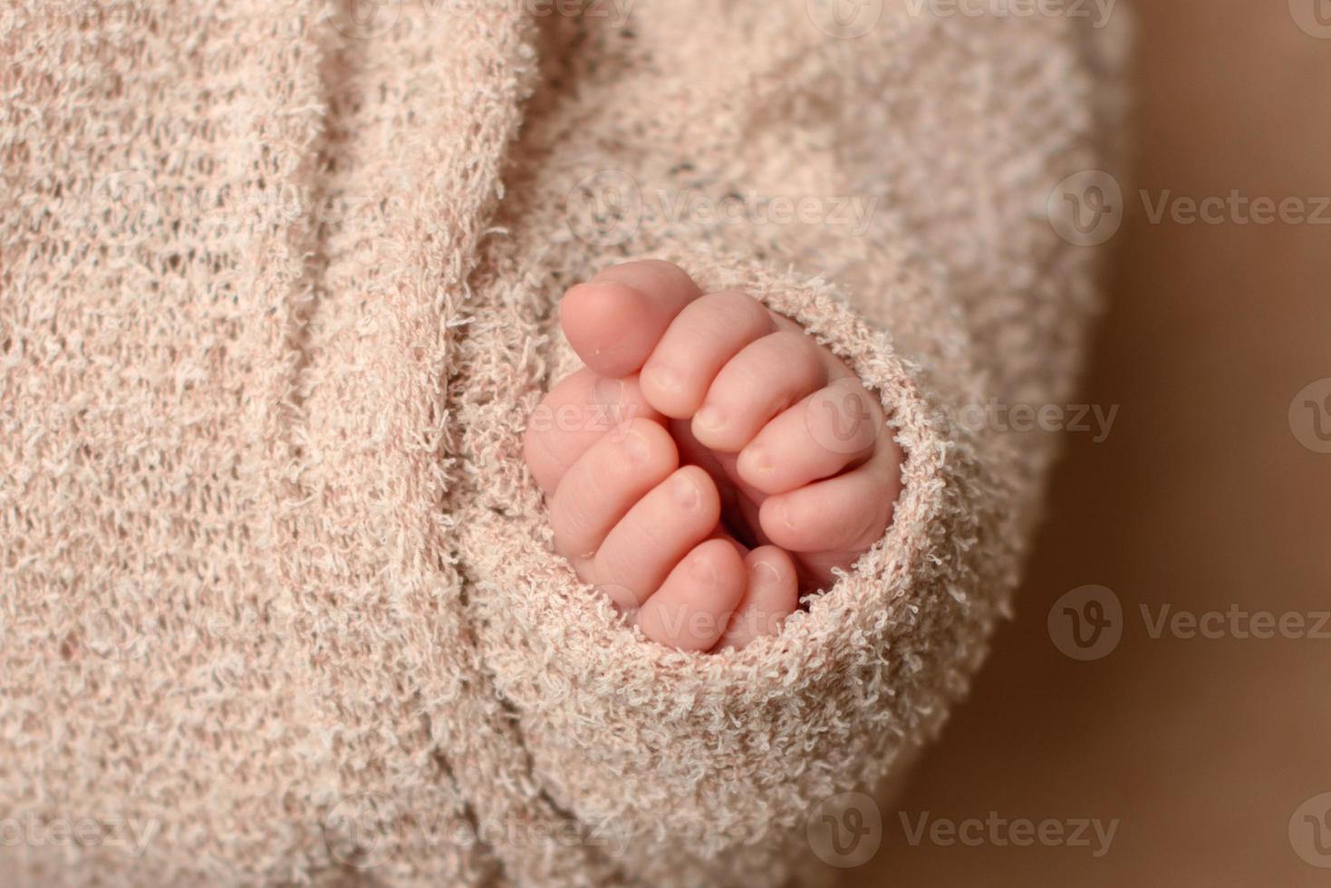 Soft newborn baby feet against a brown blanket photo