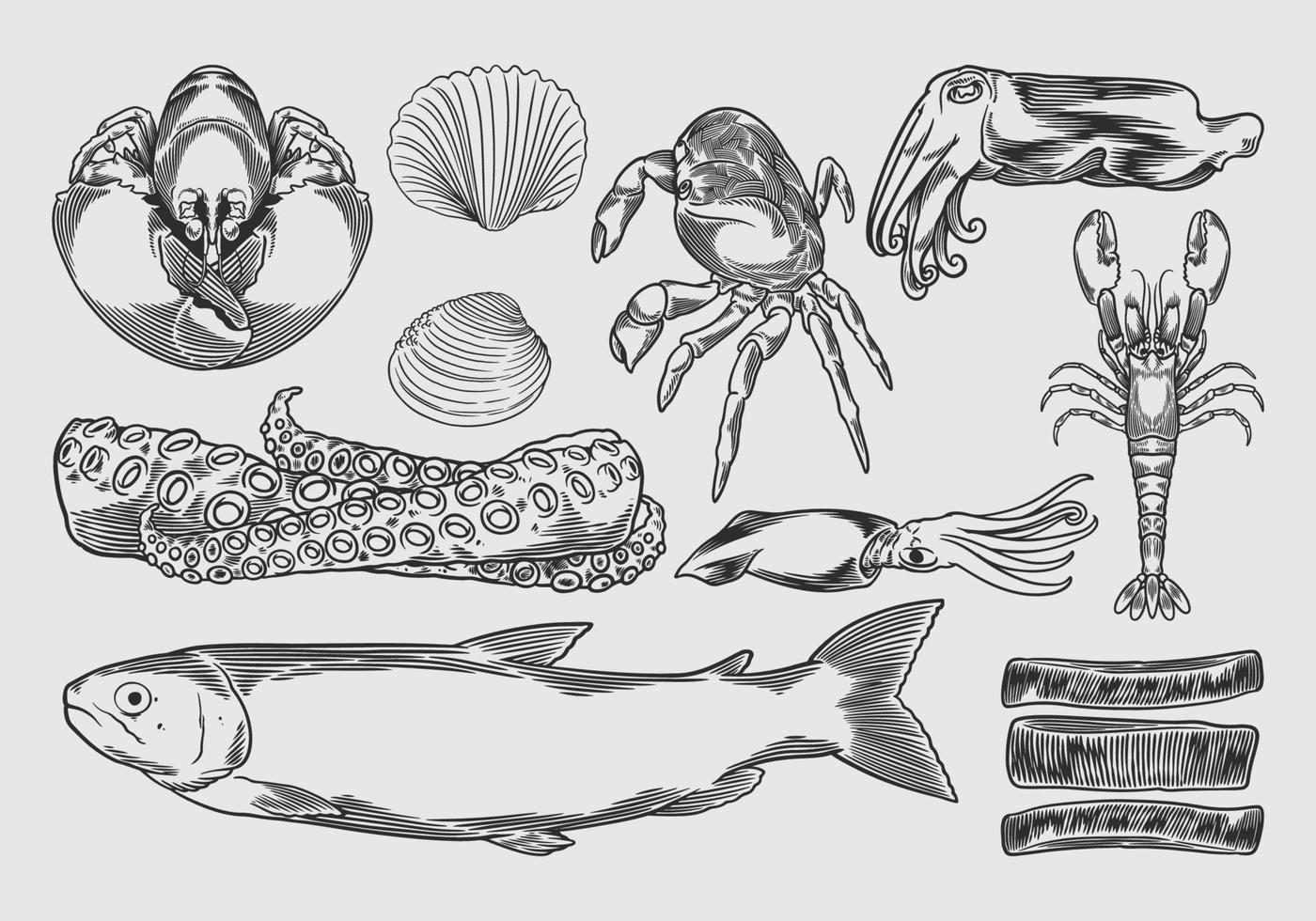 Set fishes, oysters, mussels, lobster, squid, octopus, crabs, prawns, vector