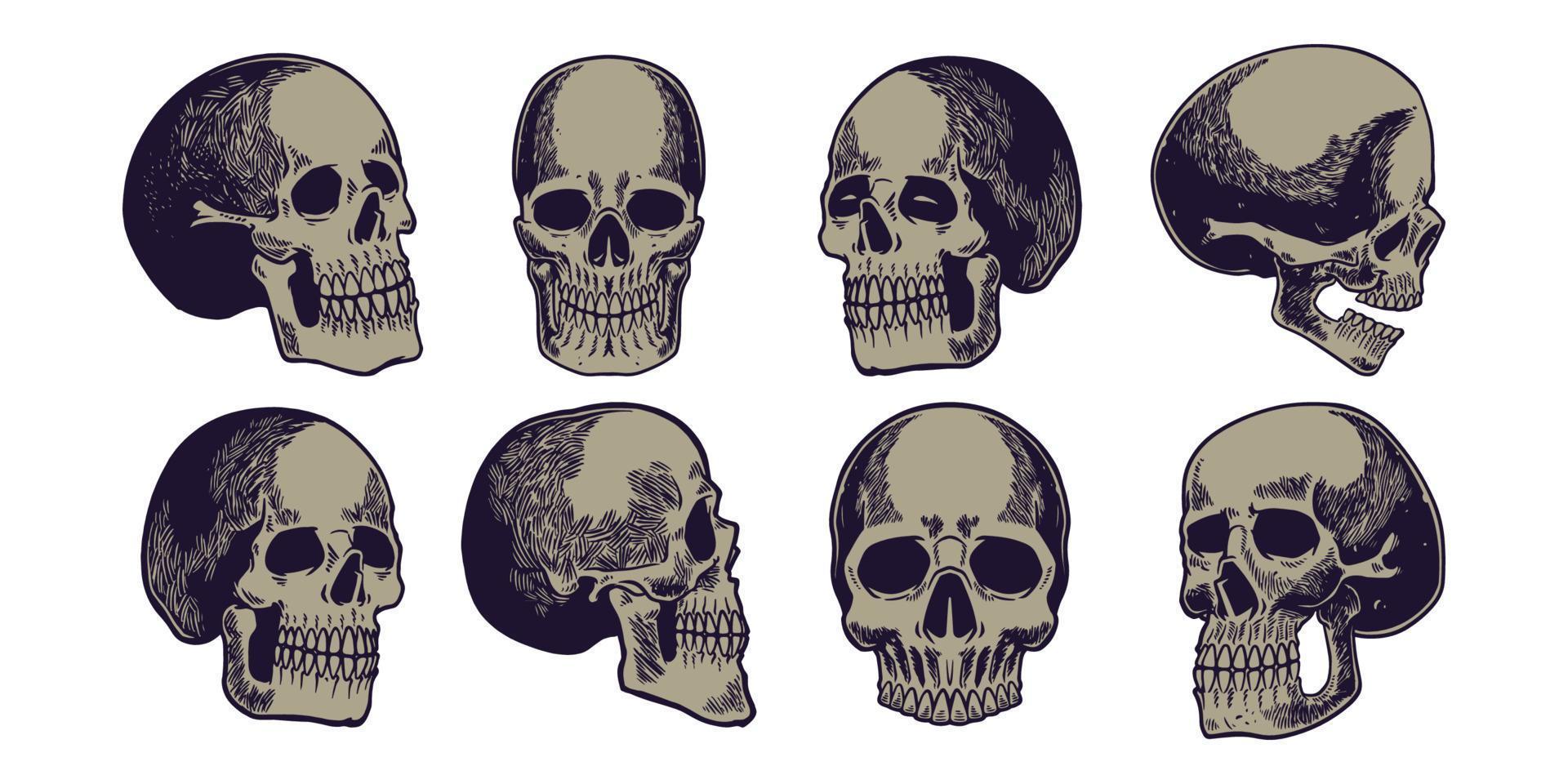 conjunto de elementos dibujados a mano, ocho cráneos humanos con mandíbulas inferiores dibujadas. vector