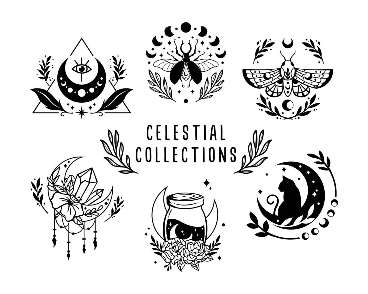 colecciones mágicas y celestiales vector