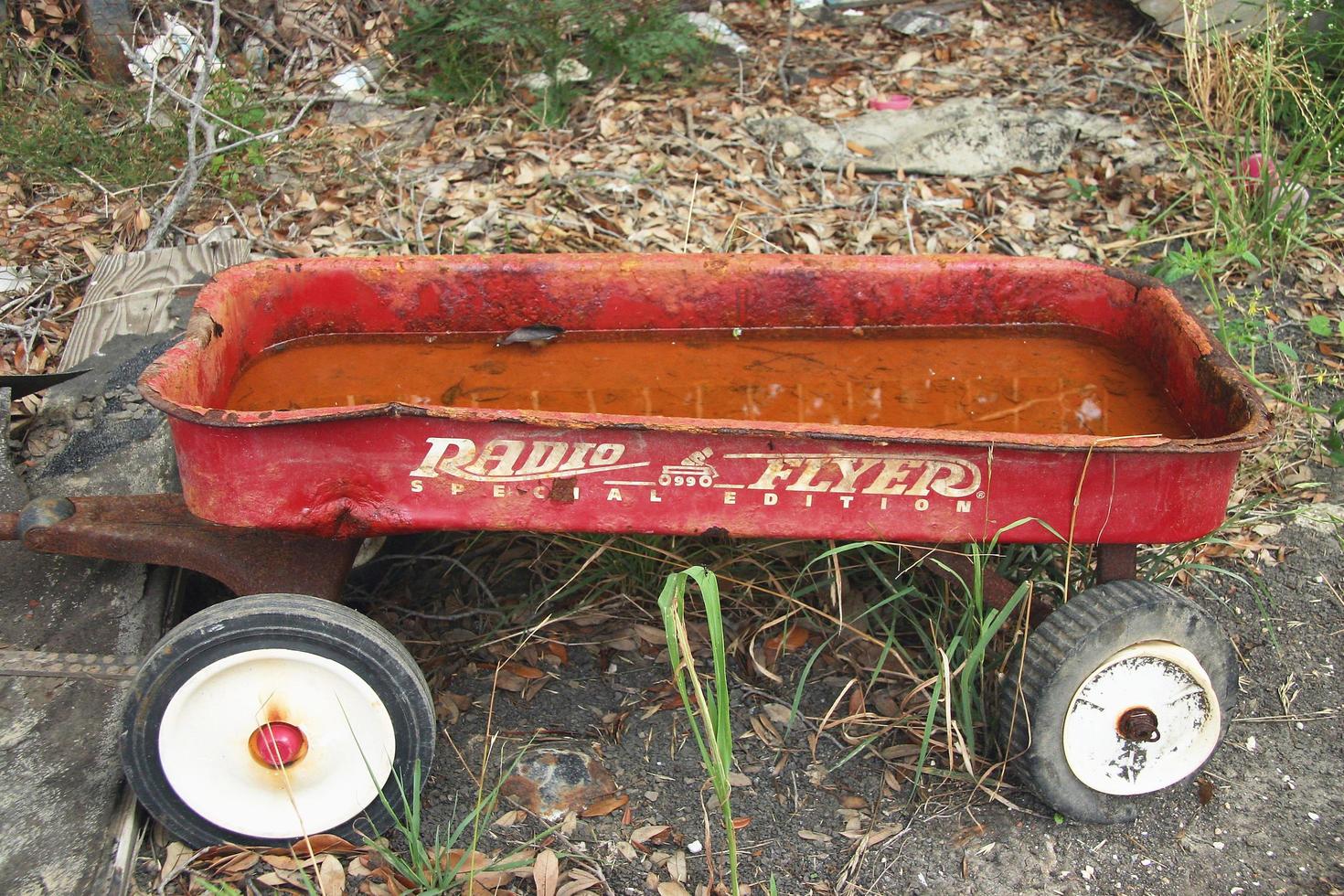 New Orleans, Louisianan, June 26, 2006 Abandon Little Red Wagon photo