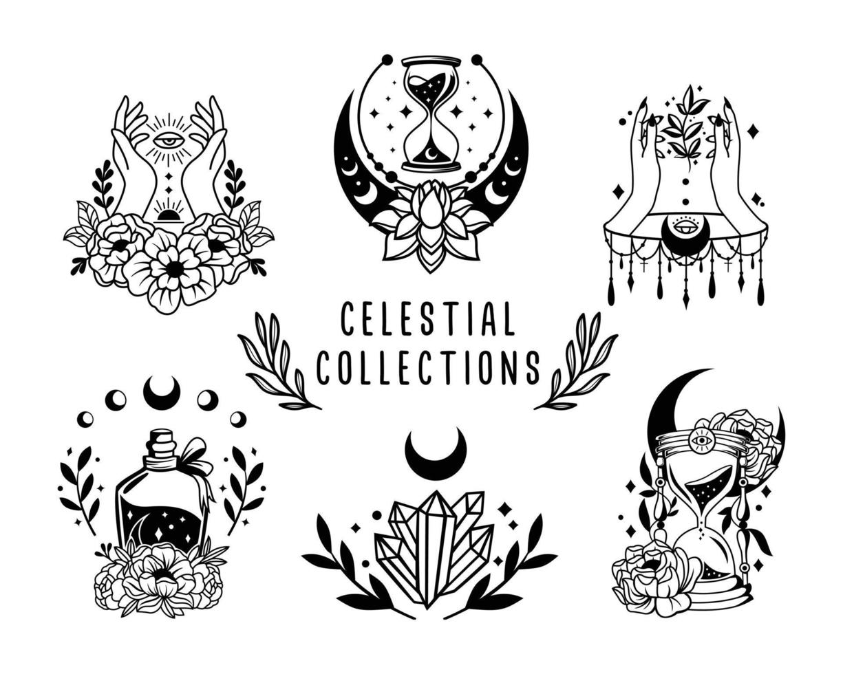 Magic and Celestial Collections vector