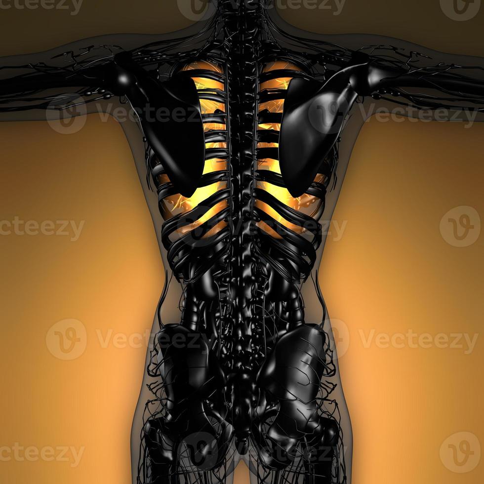 science anatomy of woman body with glow lungs photo