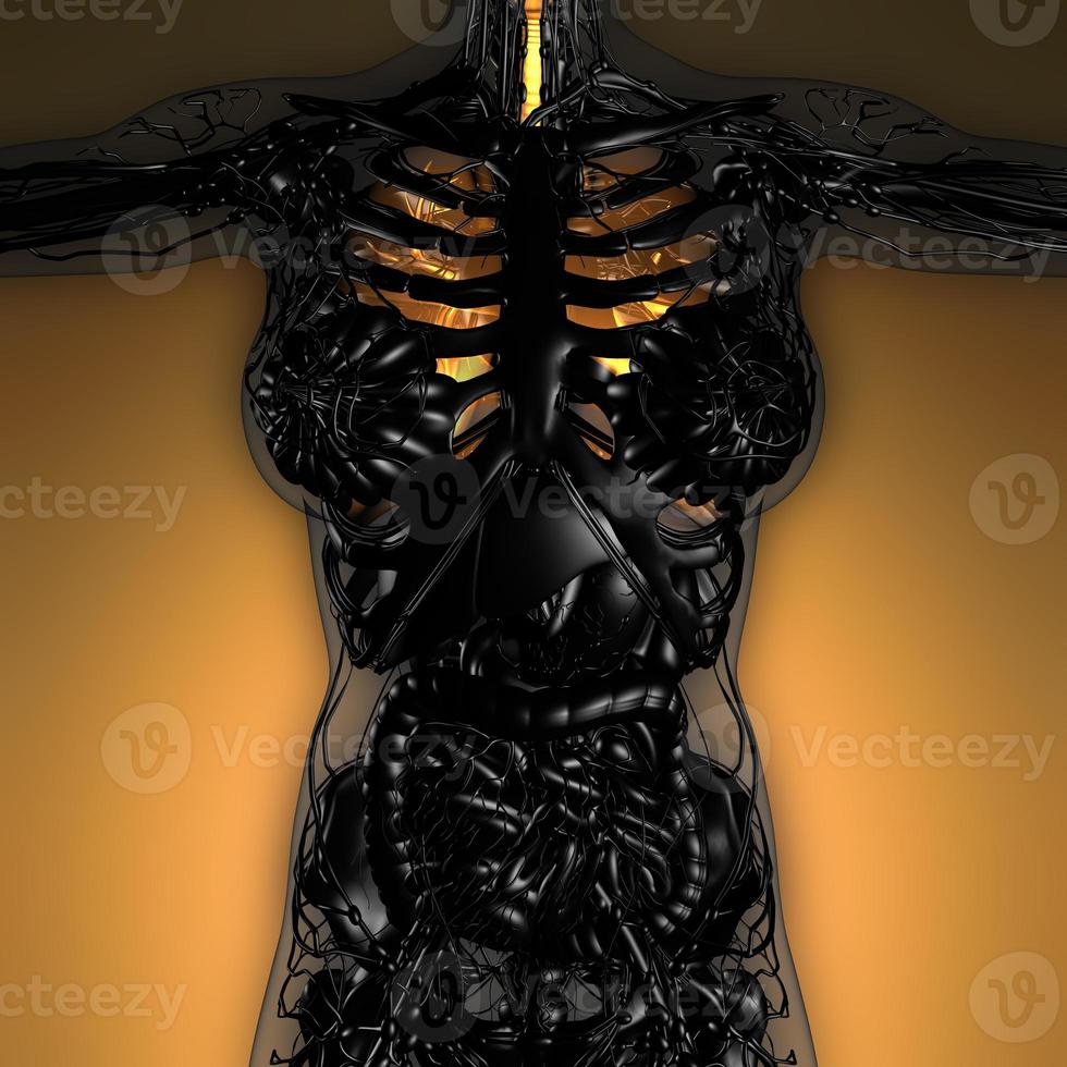 science anatomy of woman body with glow lungs photo