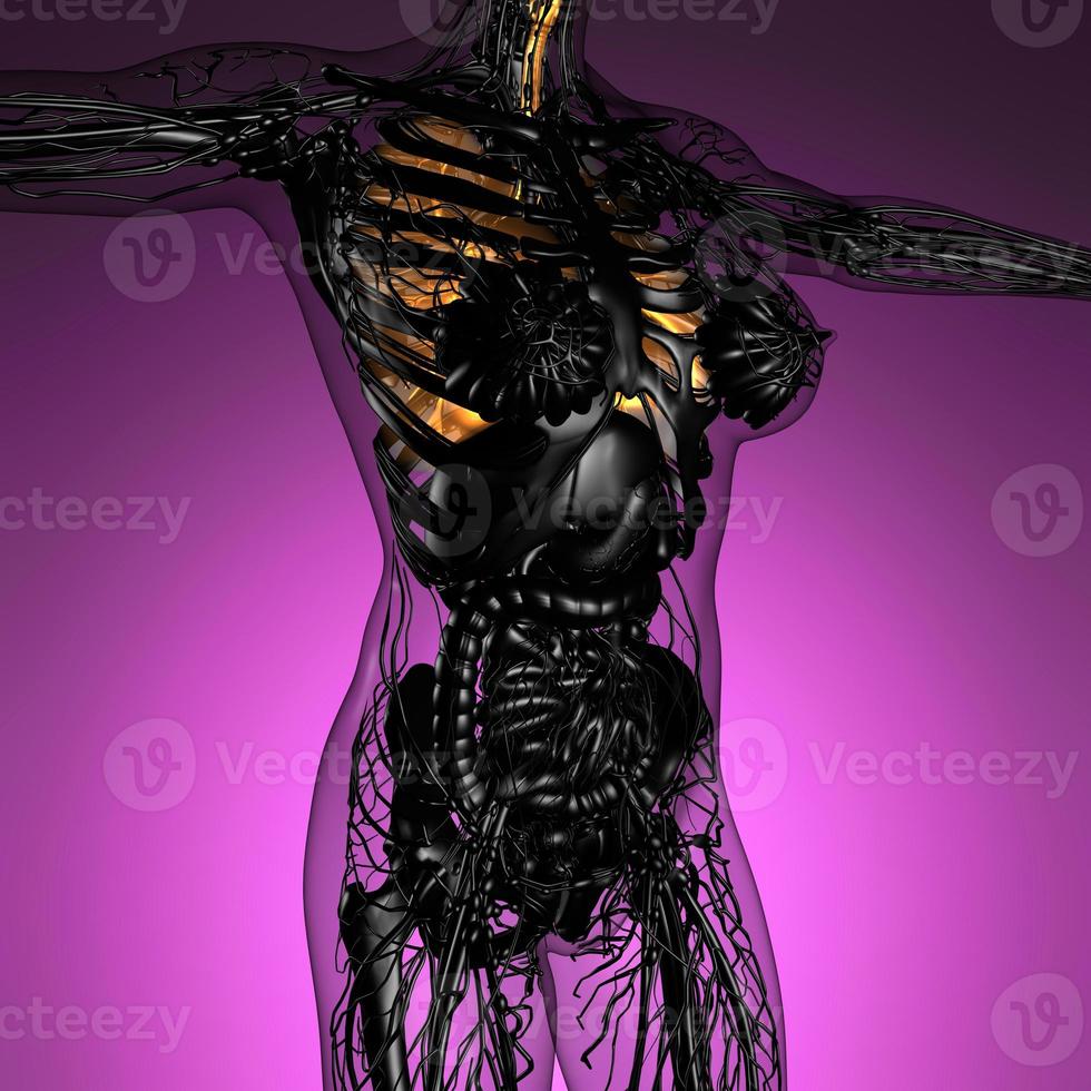 science anatomy of woman body with glow lungs photo