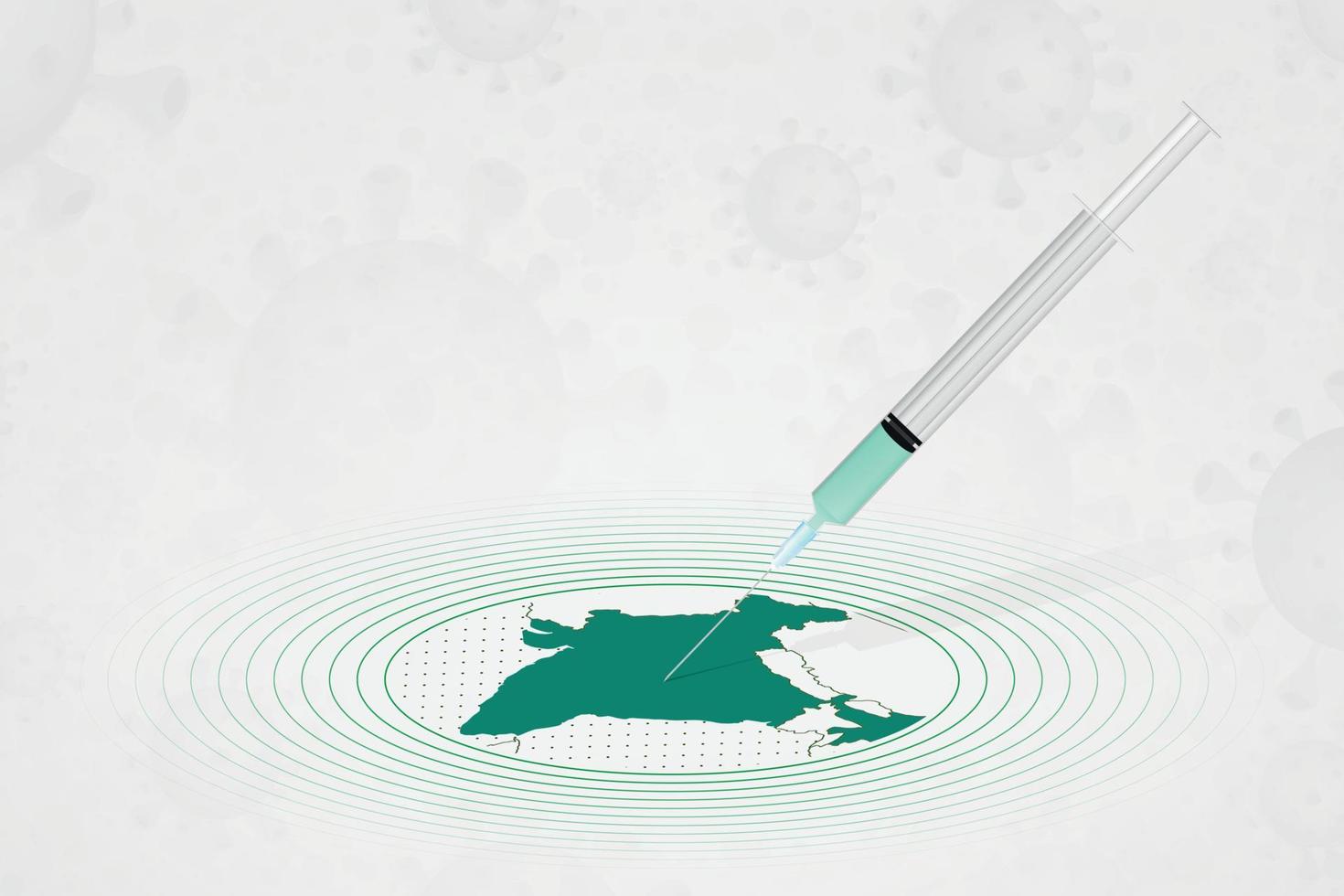 concepto de vacunación india, inyección de vacuna en el mapa de india. vacuna y vacunación contra el coronavirus, covid-19. vector