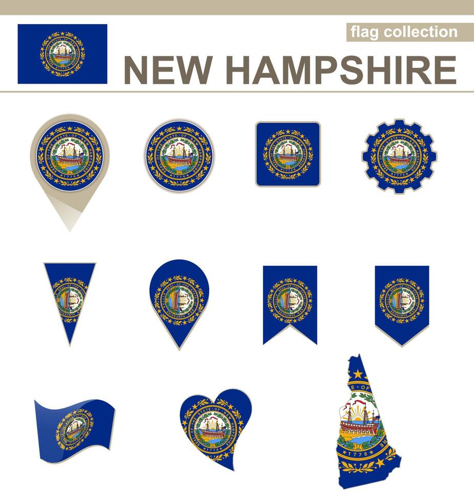 New Hampshire Flag Collection vector