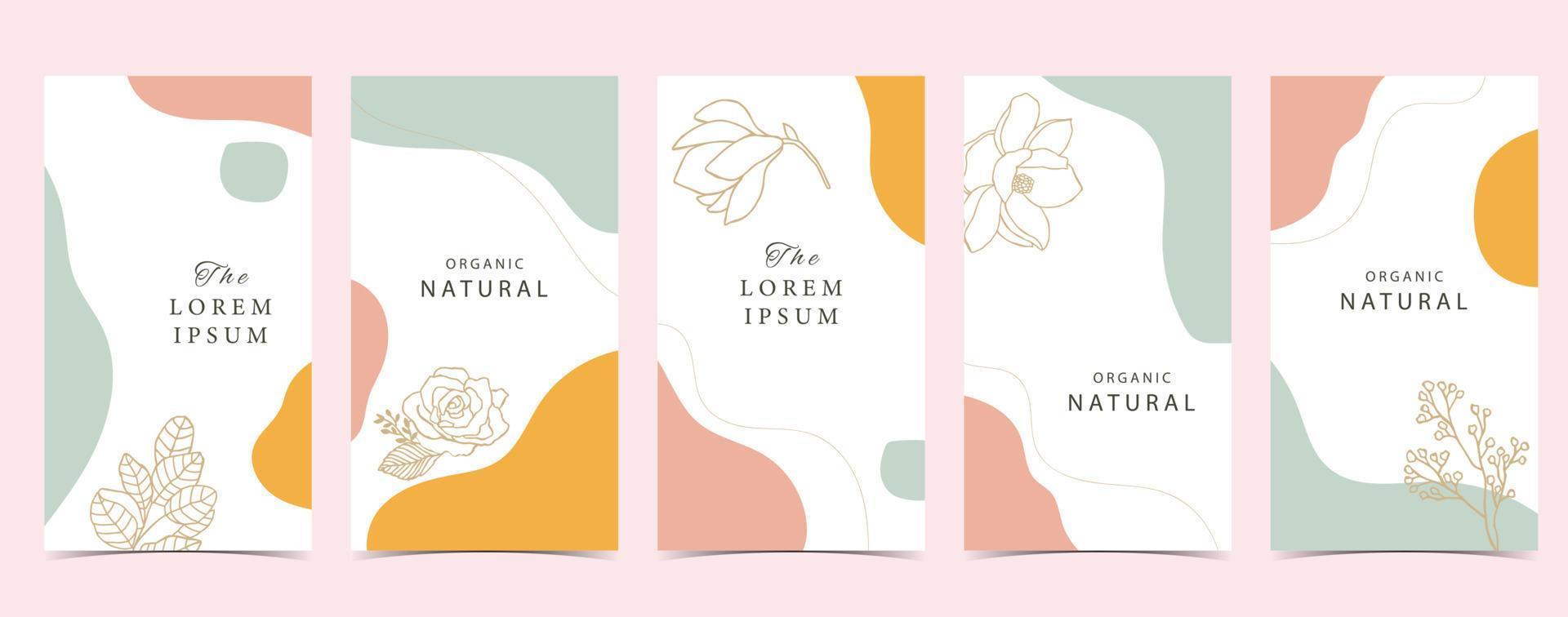 Color design background for social media with flower, leaf,shape vector