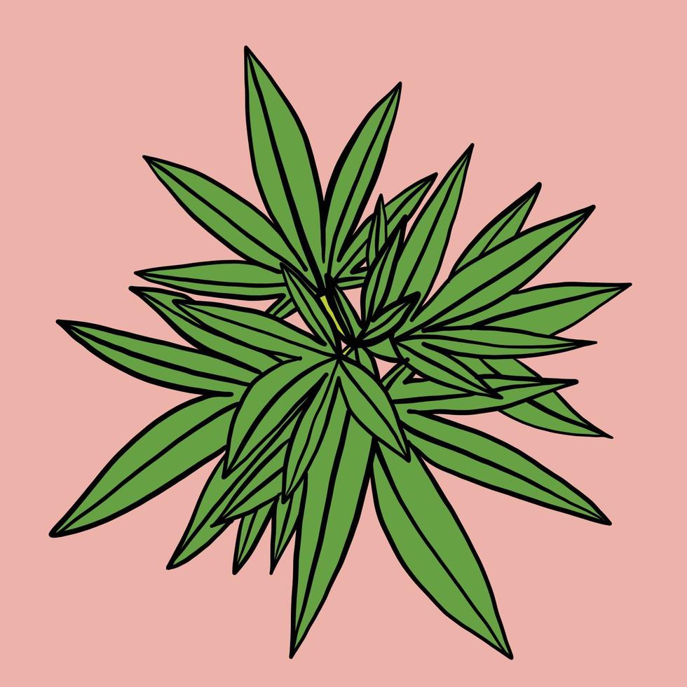 simplicidad hoja de cannabis dibujo a mano alzada diseño plano. vector