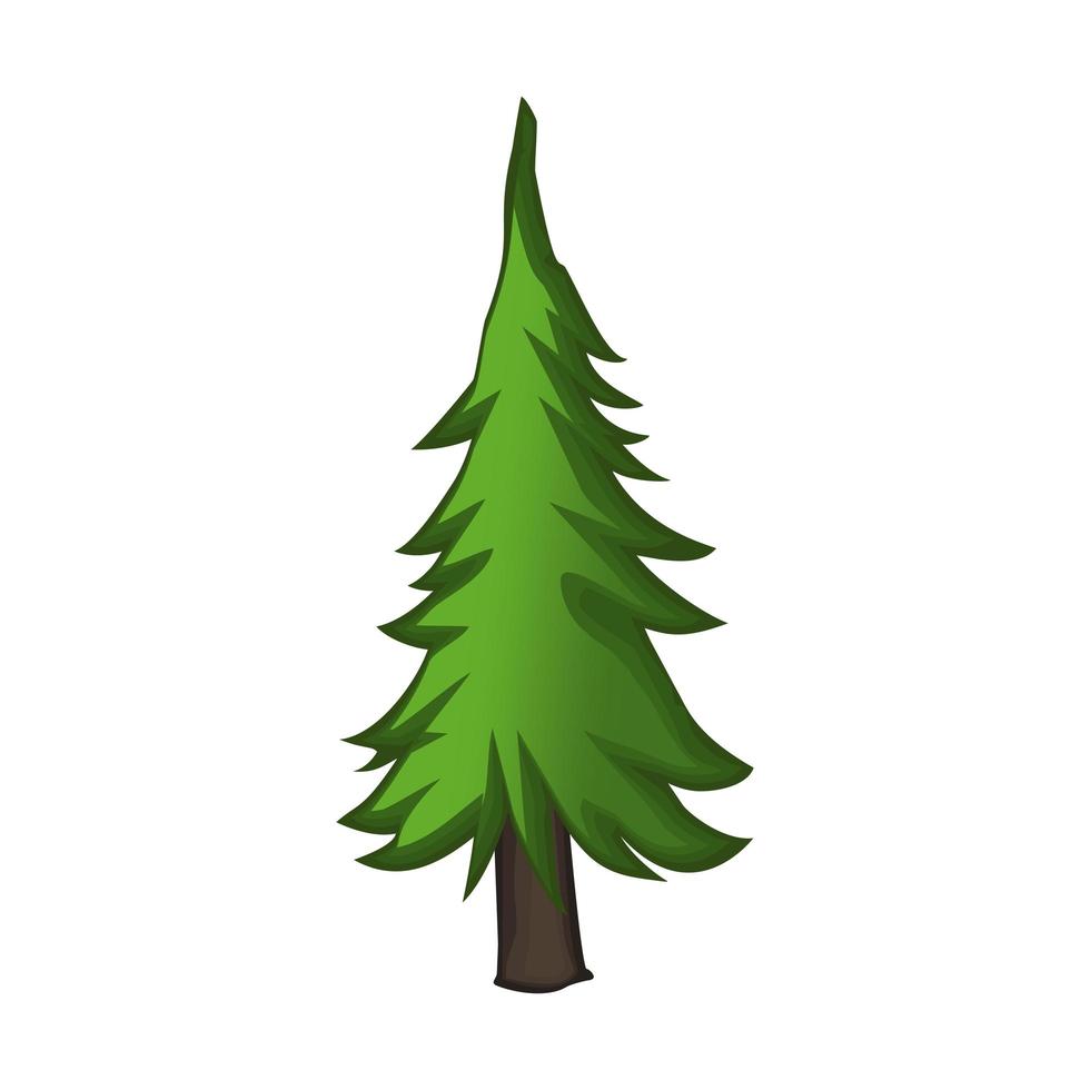 Realistic green spruce isolated on white background - Vector