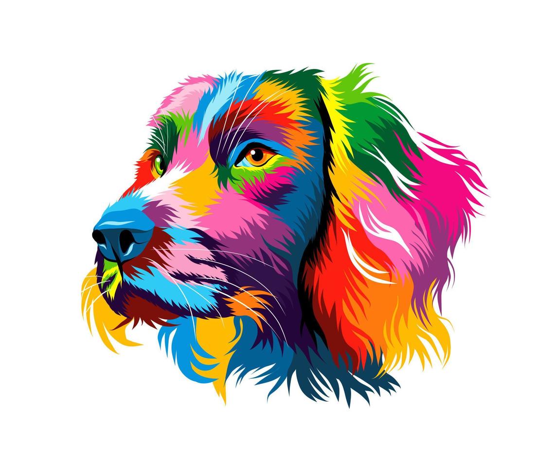 Abstract spaniel dog head portrait from multicolored paints. Puppy muzzle portrait, dog muzzle. Colored drawing. Vector illustration of paints