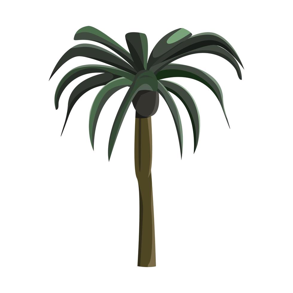 Realistic green palm isolated on white background - Vector