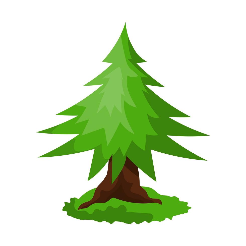 Realistic dense green spruce isolated on white background - Vector